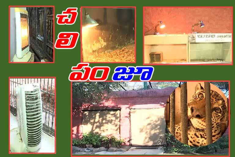 చలి పంజా: జూపార్కులో మూగజీవాల కోసం ప్రత్యేక ఏర్పాట్లు