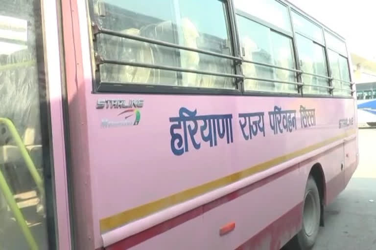 special pink bus trail sirsa