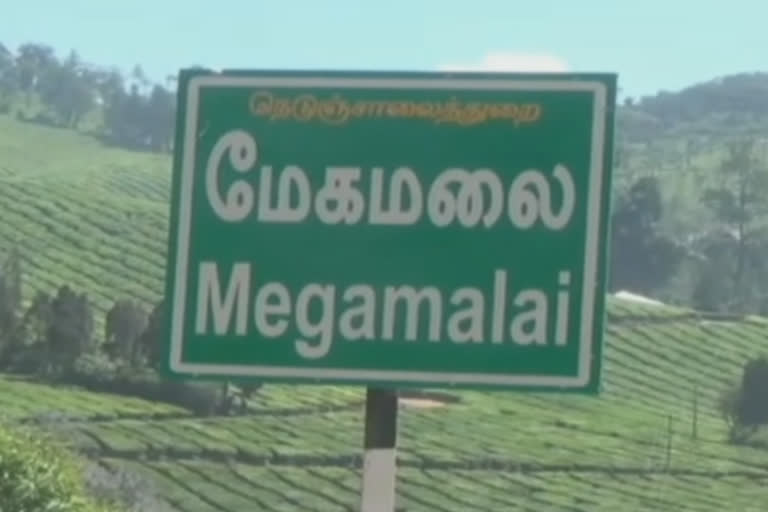 மேகமலையில் யானை தாக்கி இரண்டாவது உயிரிழப்பு