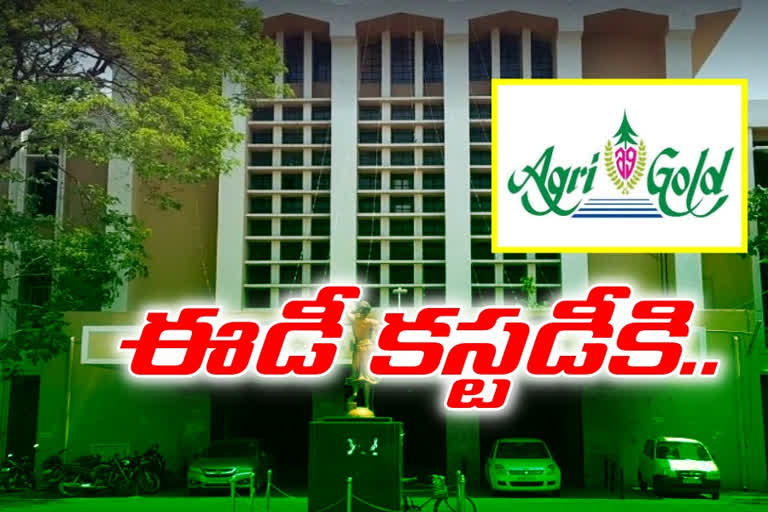 ఈడీ కస్టడీకి అగ్రిగోల్డ్ నిందితులు