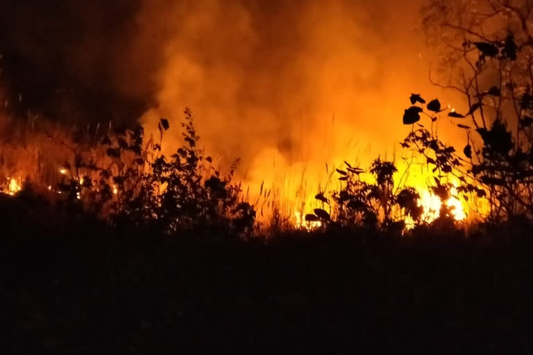 Huge fire in Rishikesh Stardia factory