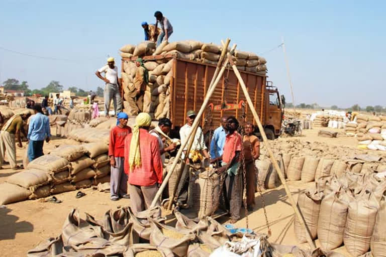 Old gunny bags will be used to buy paddy in Chhattisgarh