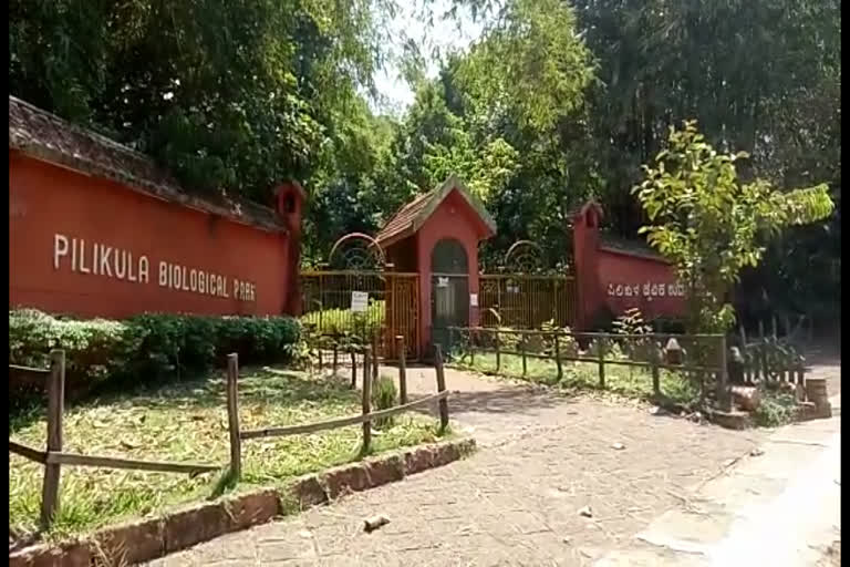 Pilikula zoo