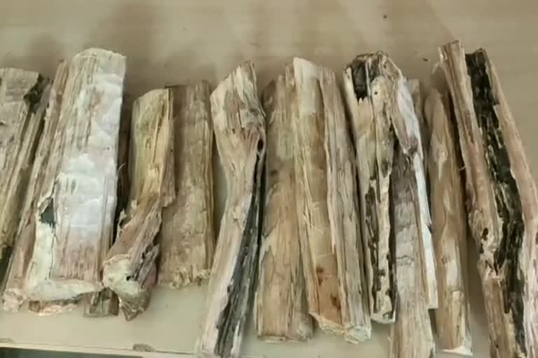 Man arrested for smuggling sandalwood worth Rs 1.50 lakh