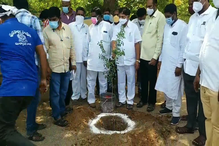 World environment day celebrations at miryalaguda