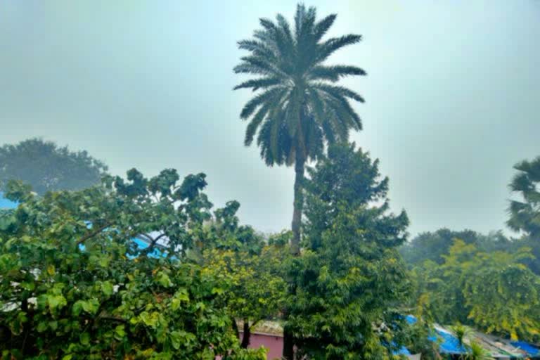 rain in Bihar