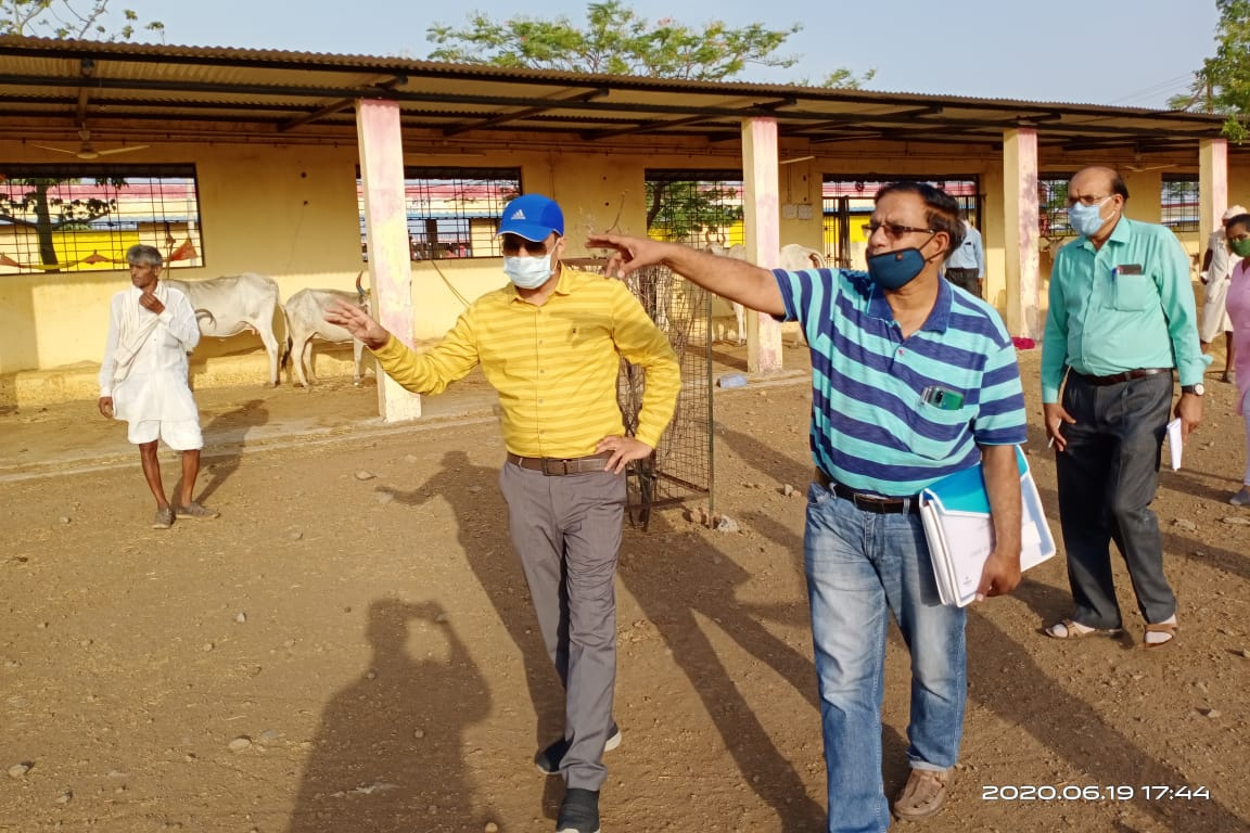 District Collector inspecting cow sanctuary