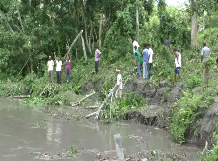 massive river bank erosion in puthimari river