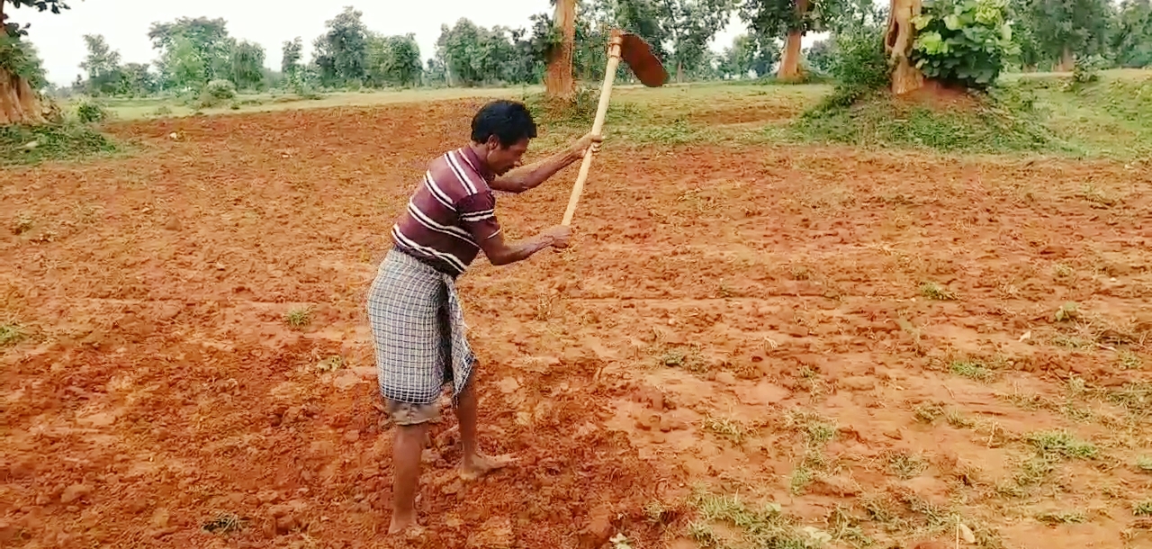 nature of farming started changing