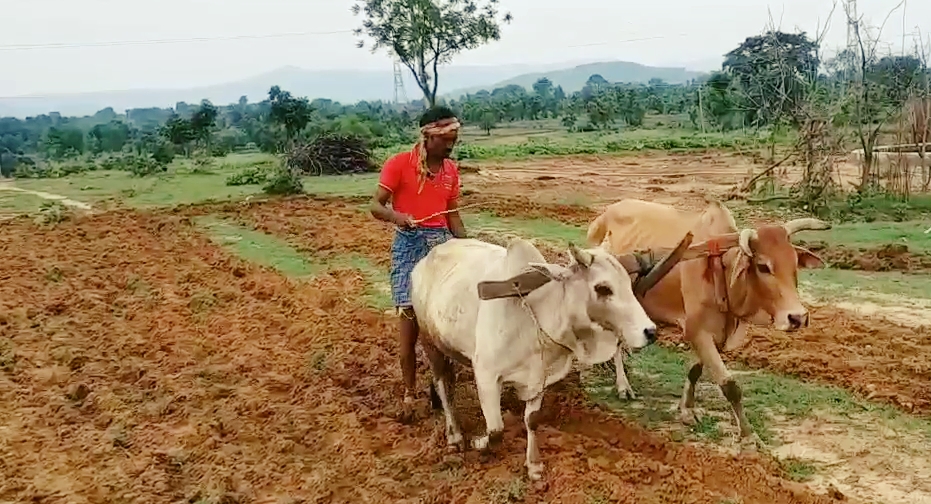 nature of farming started changing