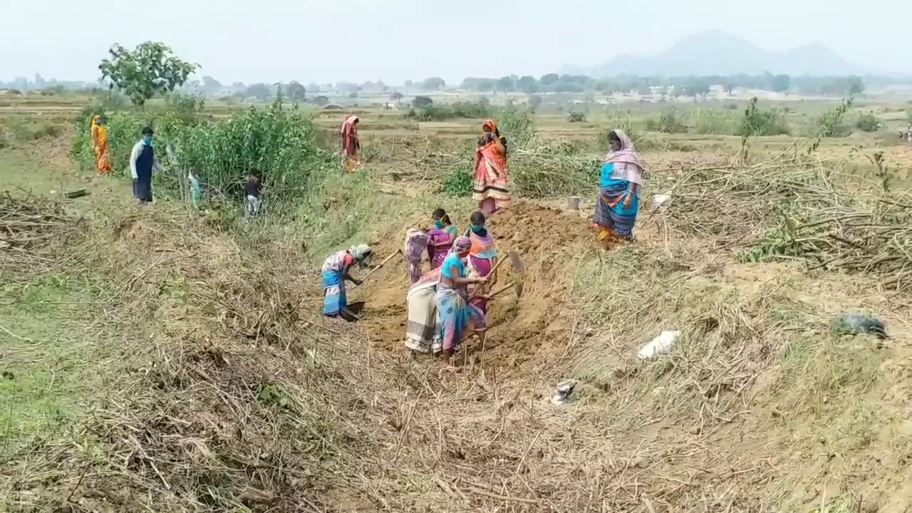 Skilled workers facing problems of work in hazaribag, Migrant workers facing problems of work, News of migrant workers of Jharkhand, News of Jharkhand mgnrega, हजारीबाग में कुशल श्रमिकों को काम की दिक्कत, कुशल प्रवासी मजदूरों के सामने काम की समस्या, झारखंड के प्रवासी मजदूर की खबरें, झारखंड मनरेगा की खबरें