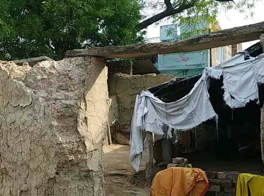 widow has been wandering for home in Kanpur dehat for many years