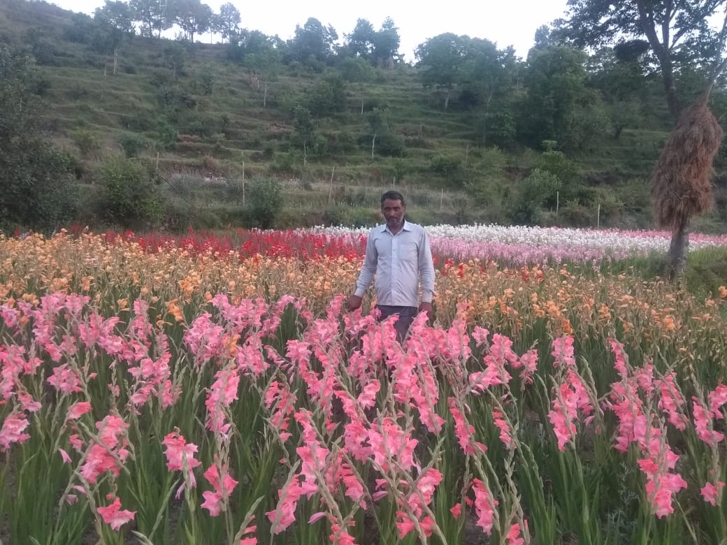 floriculture in pauri