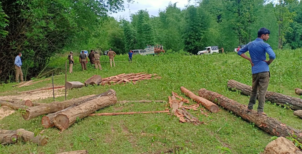 BILASHIPARA EAST ILLEGAL WOOD SEIZED NEWS