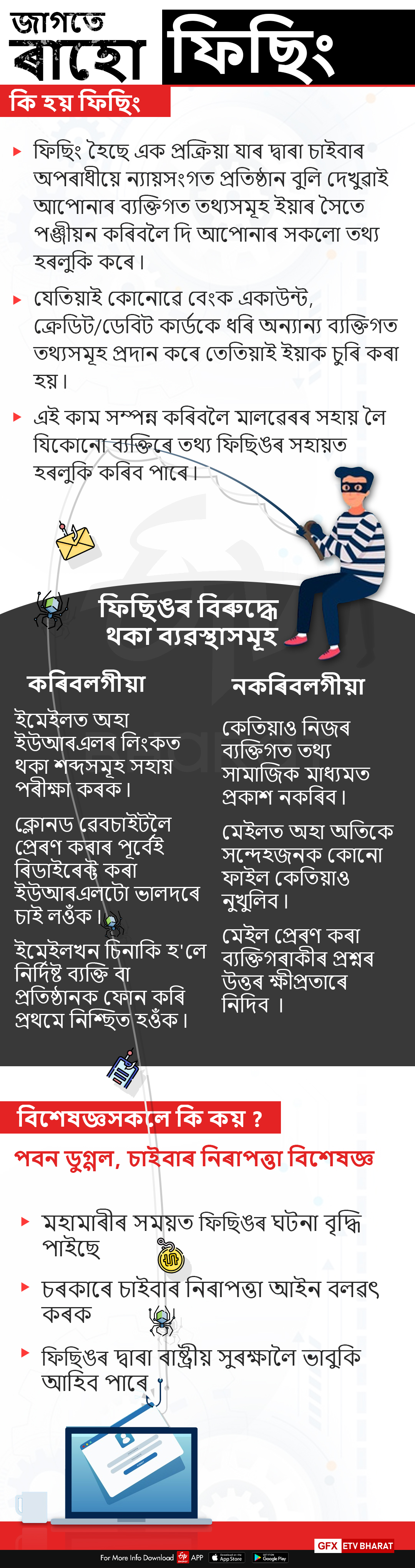 ফিছিং, চাইবাৰ অপৰাধীৰ জাল