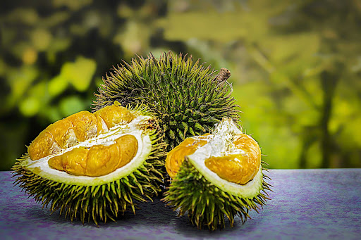 durian fruit smell news