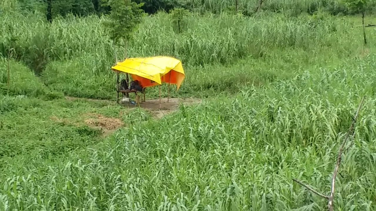 Nepal's camp set in Panthoka village