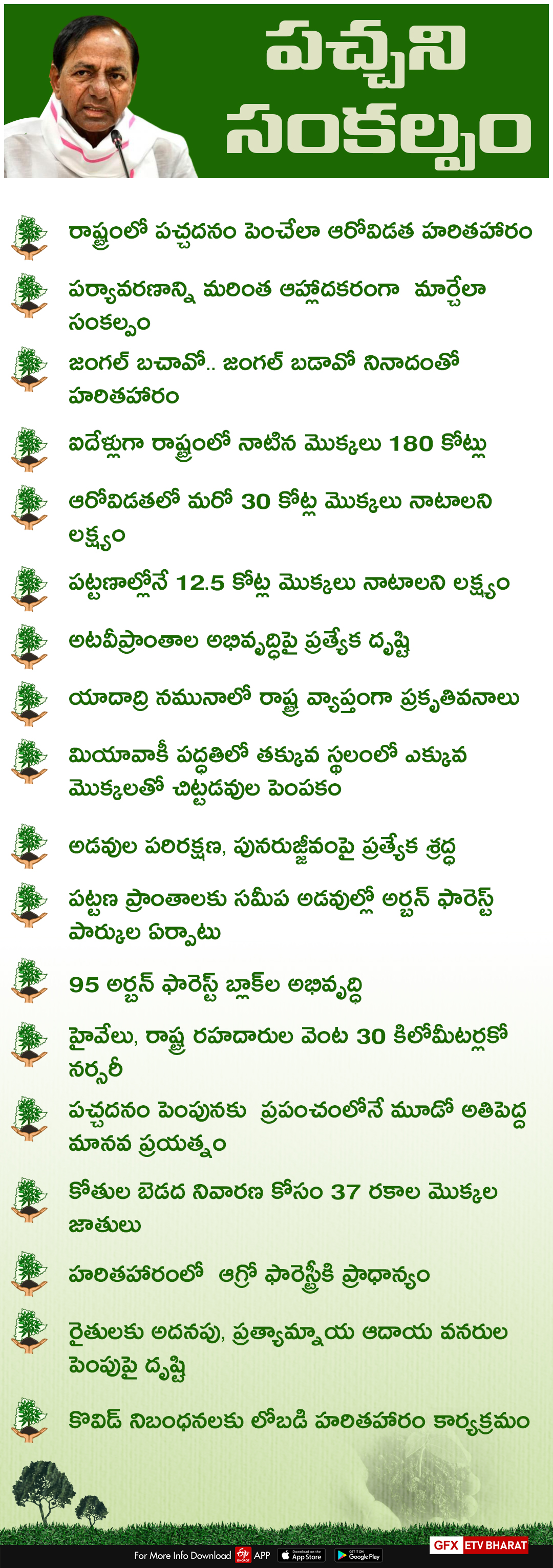 KCR plants planted in Narsapur medak district