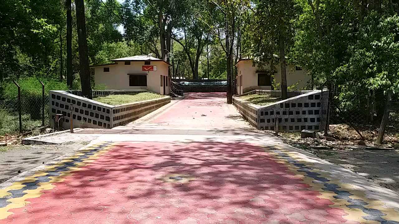 Kanha filled with greenery