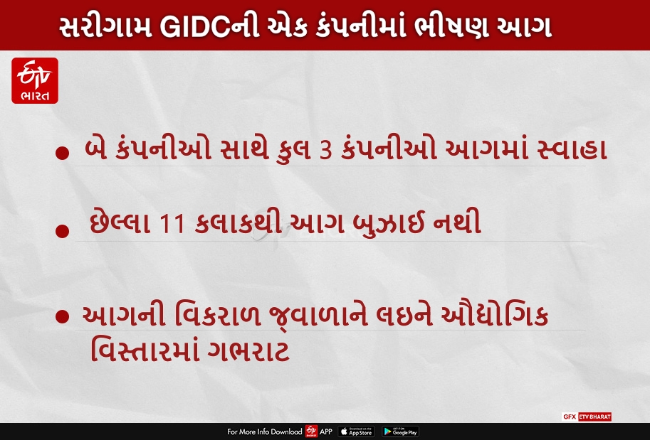 સરીગામ GIDC માં રબર બનાવતી કંપનીમાં ભીષણ આગ