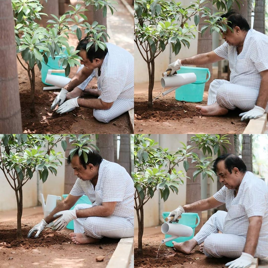 brahmanandam participated in green india challenge