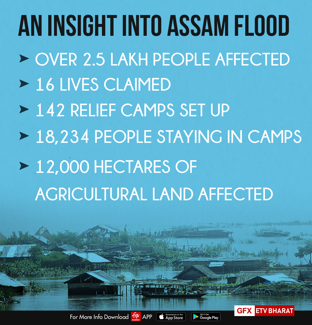 An insight into Assam Flood