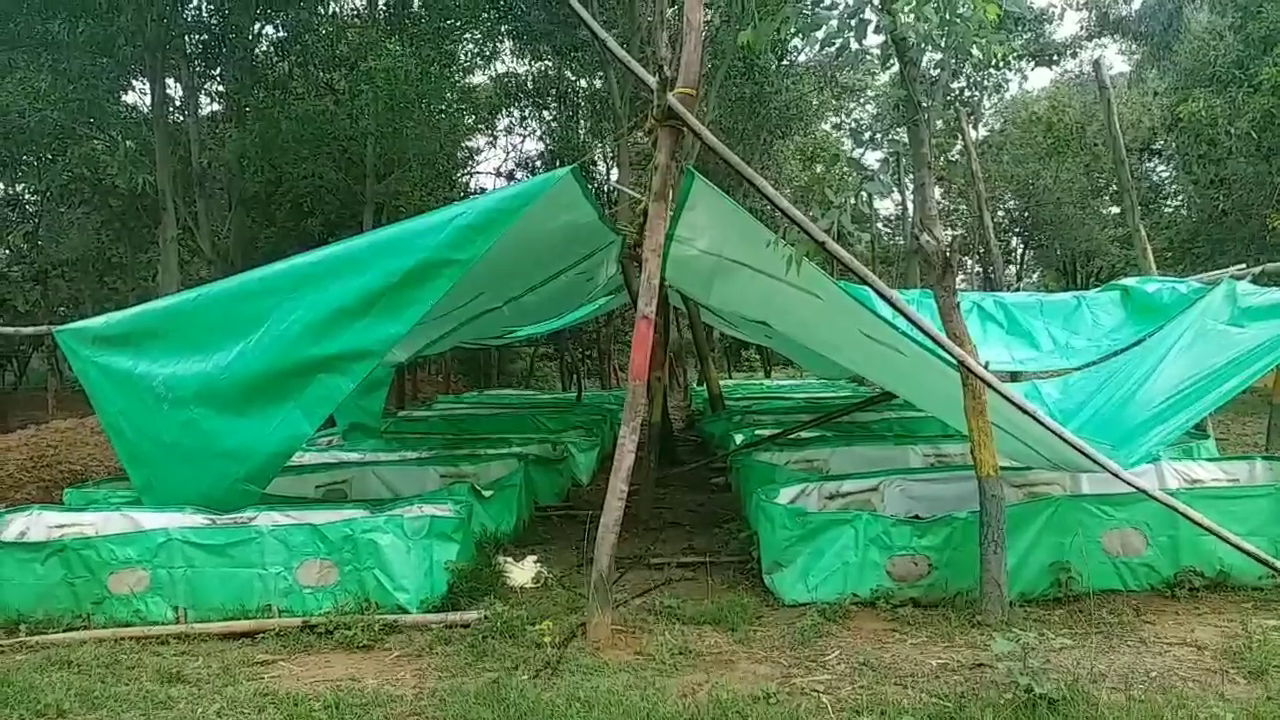 fertilizer being made in gothan