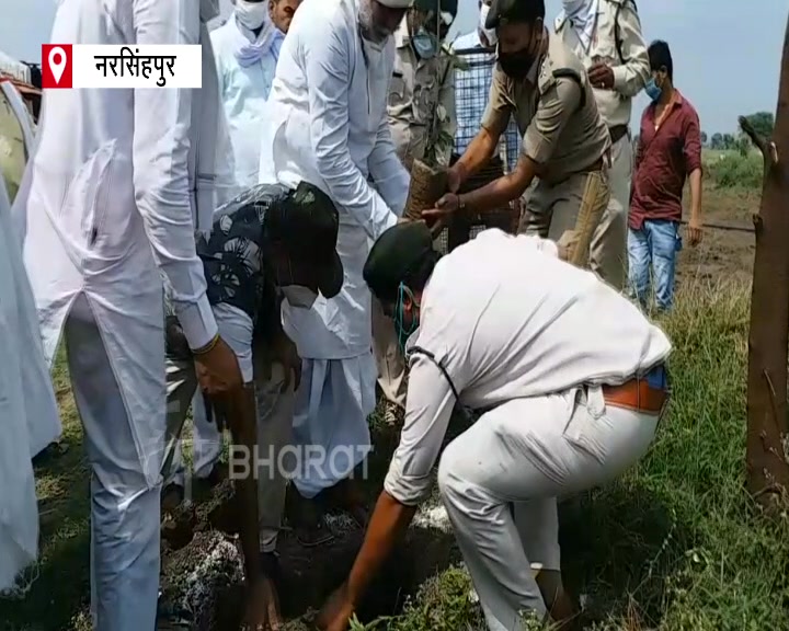 Union Minister Prahlad Patel planted saplings