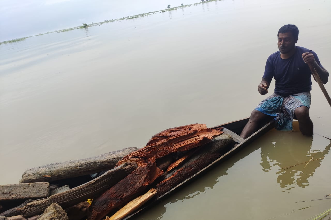 hog deer recovered