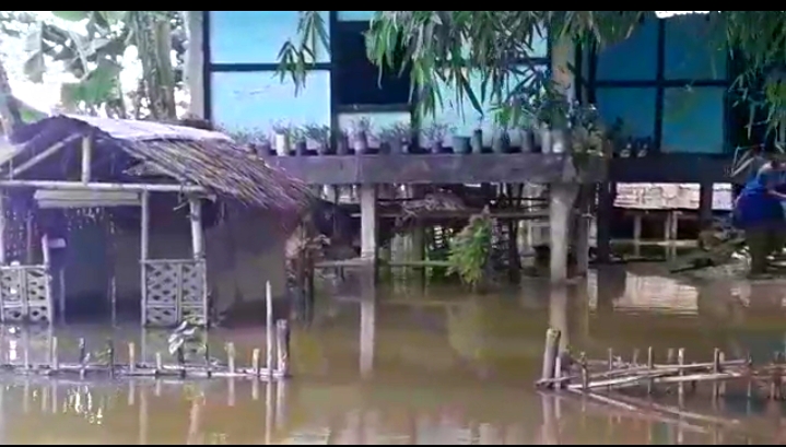 JORHAT TEOK JAJIMUKH FLOOD UPDATE