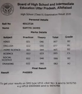 Safia Javed's marksheet