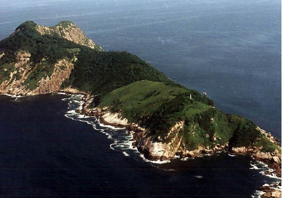 unknown facts about Brazil's 'Snake Island'