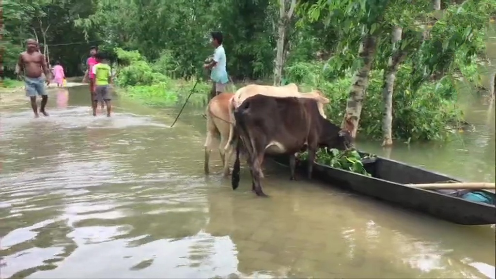 Flood situation still grim in Assam, 20 dead and close to a million affected