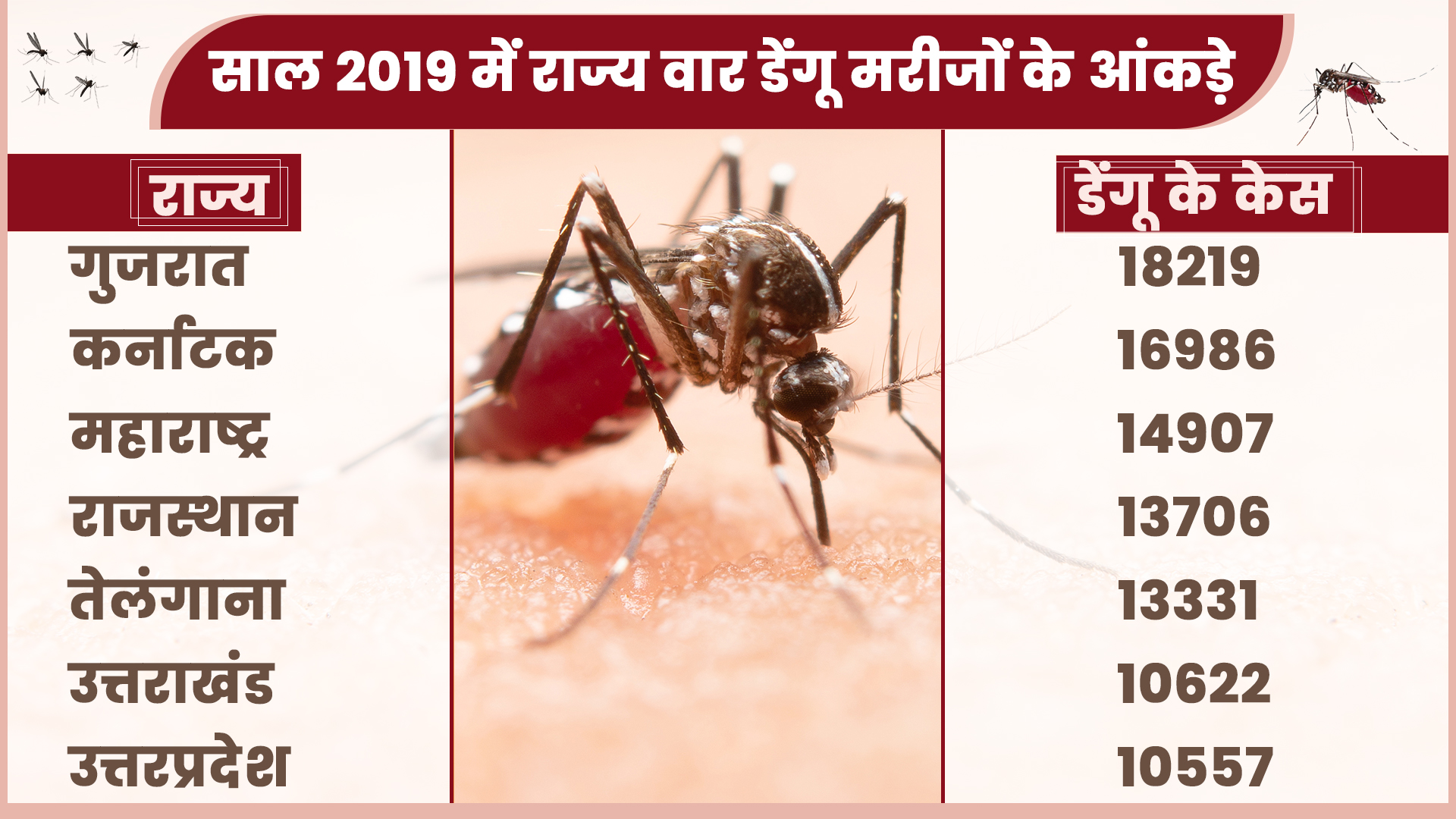 dengue in uttarakhand