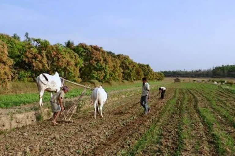 Agriculture week