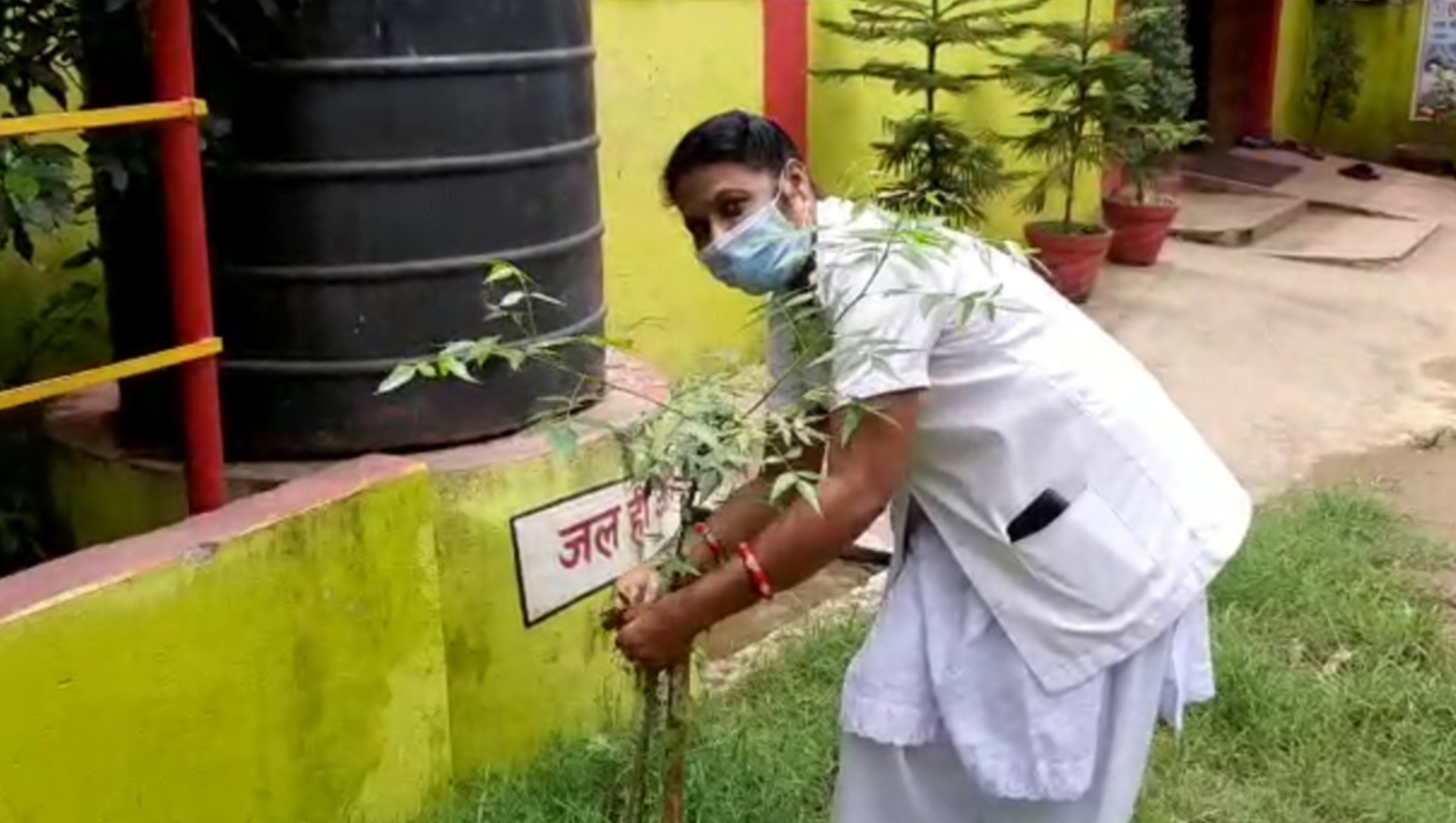 plantation on occasion of  Doctor's Day in  korba Health Center