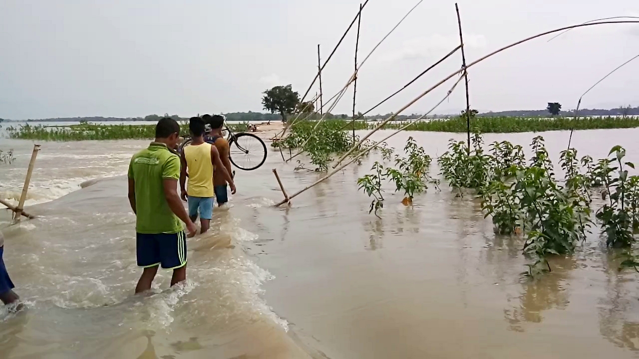 কৰ’ণা ভাইৰাছৰ সমান্তৰালকৈ বানৰ বিভীষিকা