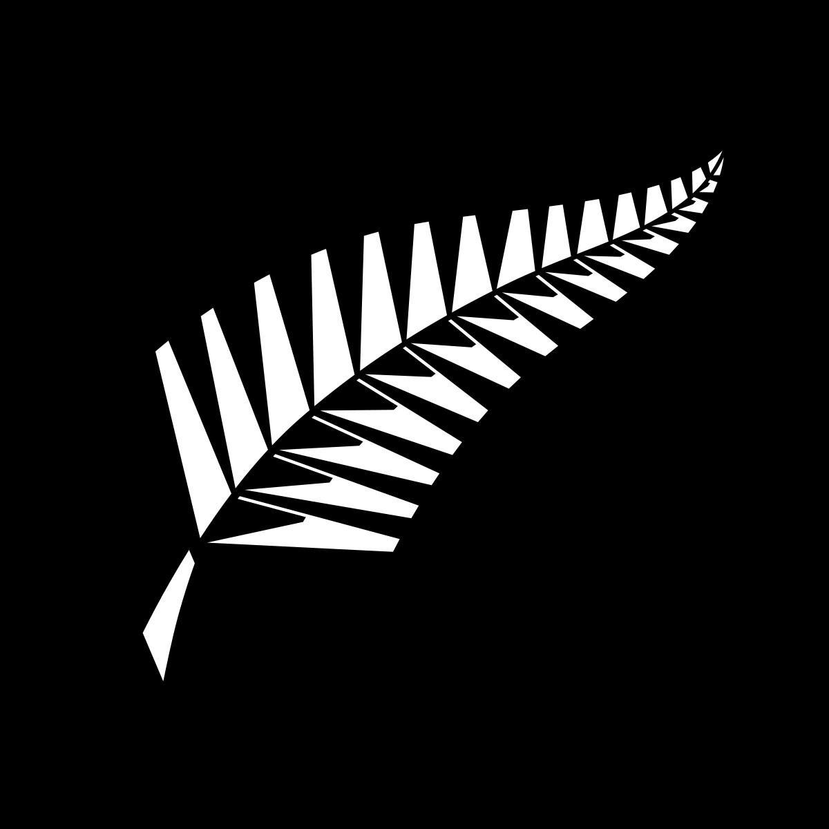 New Zealand Cricket, Peter Fulton