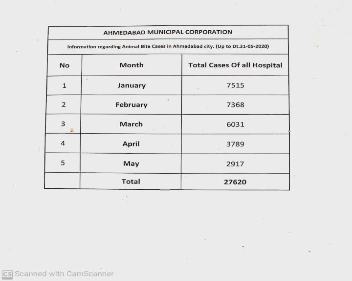 સ્માર્ટ સિટી અમદાવાદમાં રખડતા કૂતરાંઓનો આતંક: જાન્યુઆરીથી મેમાં 27,620 લોકોને કરડ્યાં
