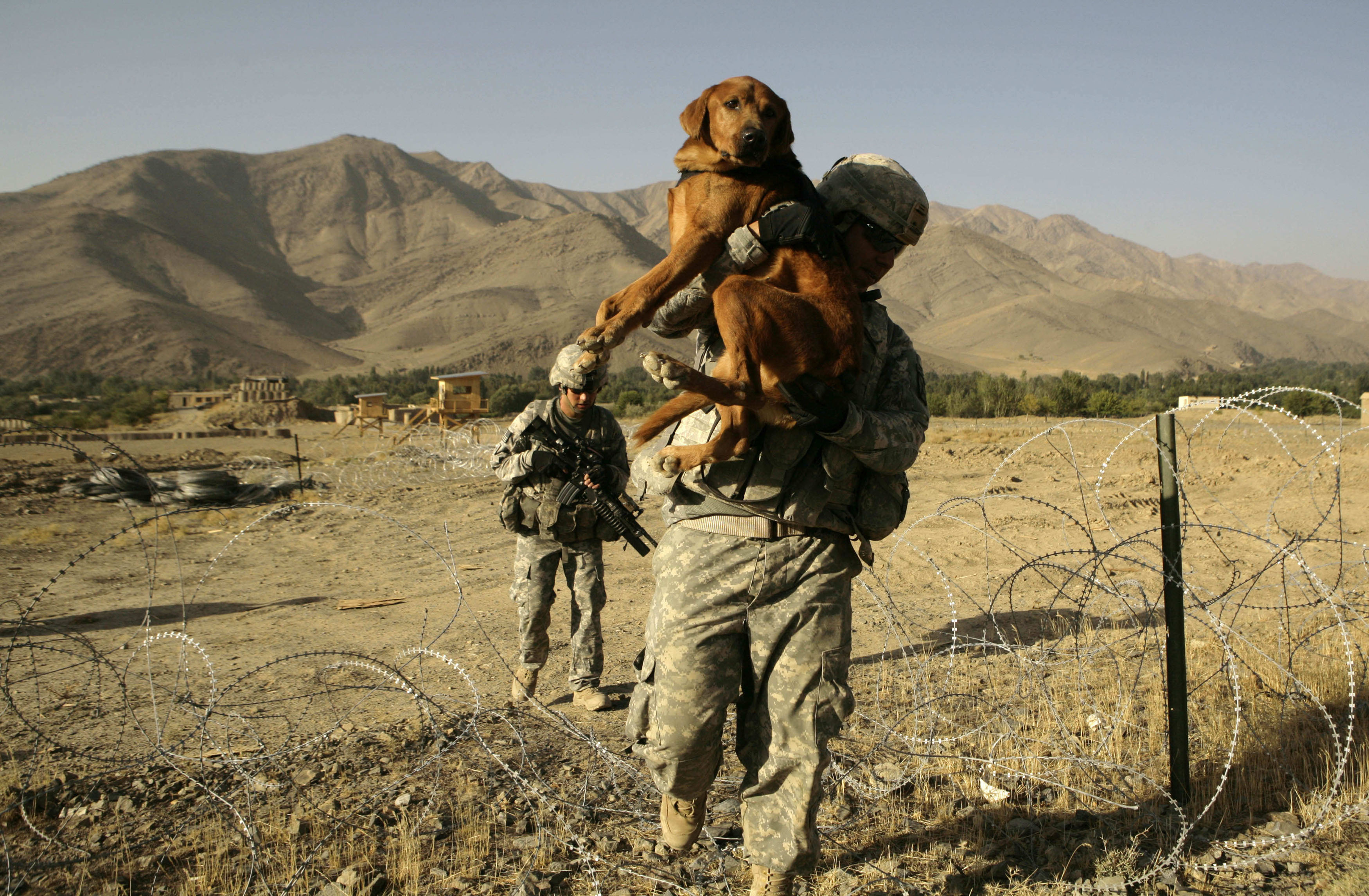 US Army dog handler Sgt. Adrian Garcia, from El Paso, Texas, carries Staff Sgt. Kirby over a concertina wire fence during a patrol with 3rd Brigade, 10th Mountain Division in the Jalrez Valley in Afghanistan's Wardak Province. (File pic)