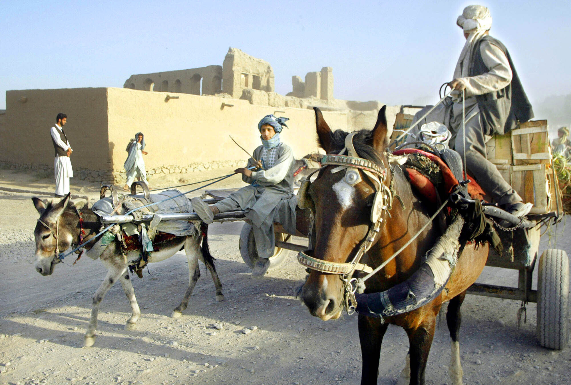 Afghan men take their produce to the Kandahar market past a building damaged during the war against Russia by horse and donkey carts in Kandahar, Afghanistan. (File pic)