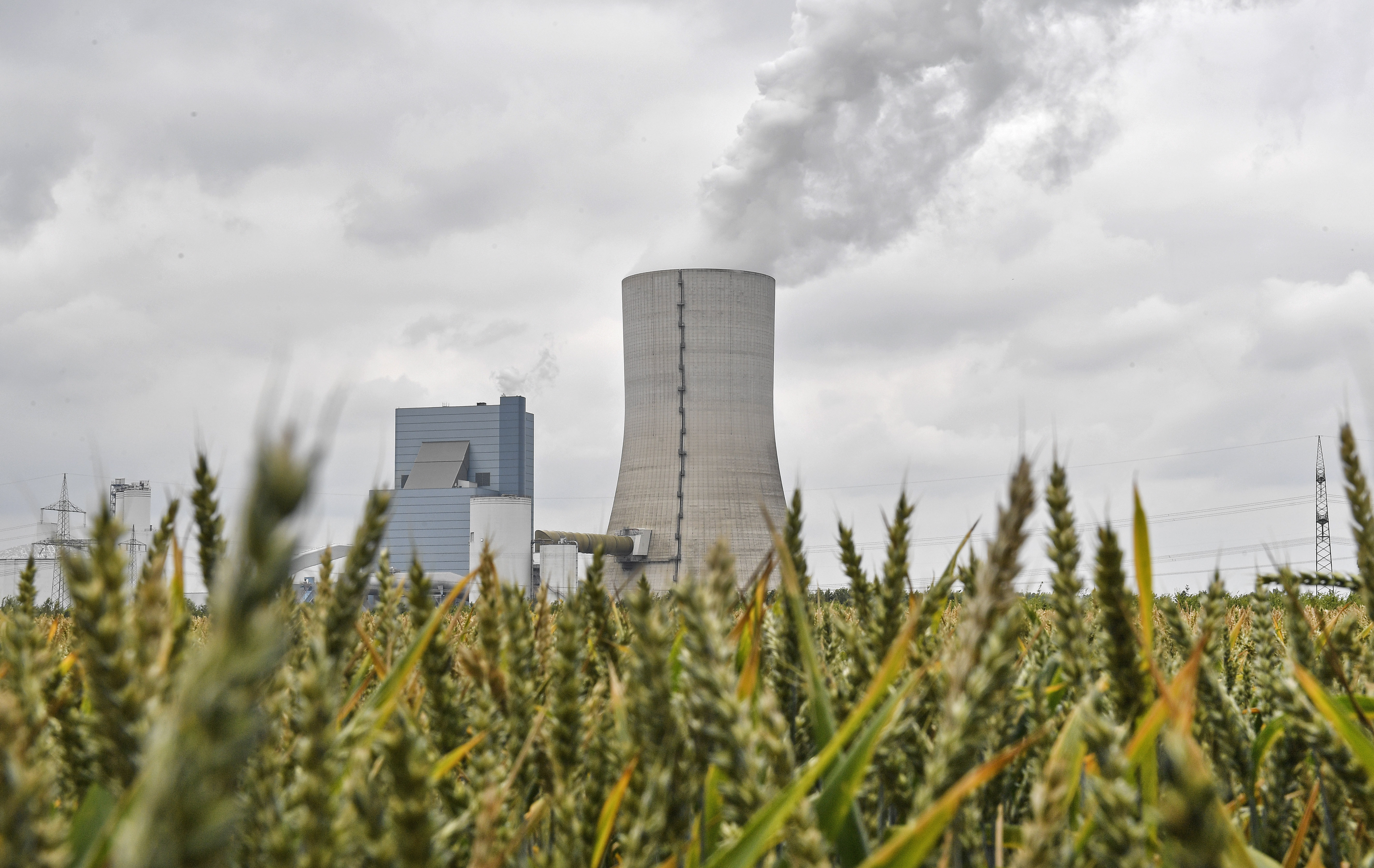 The controversial most modern Uniper Datteln 4 coal-powered plant steams behind a corn field one month after the operational start in Datteln, Germany, on Friday.