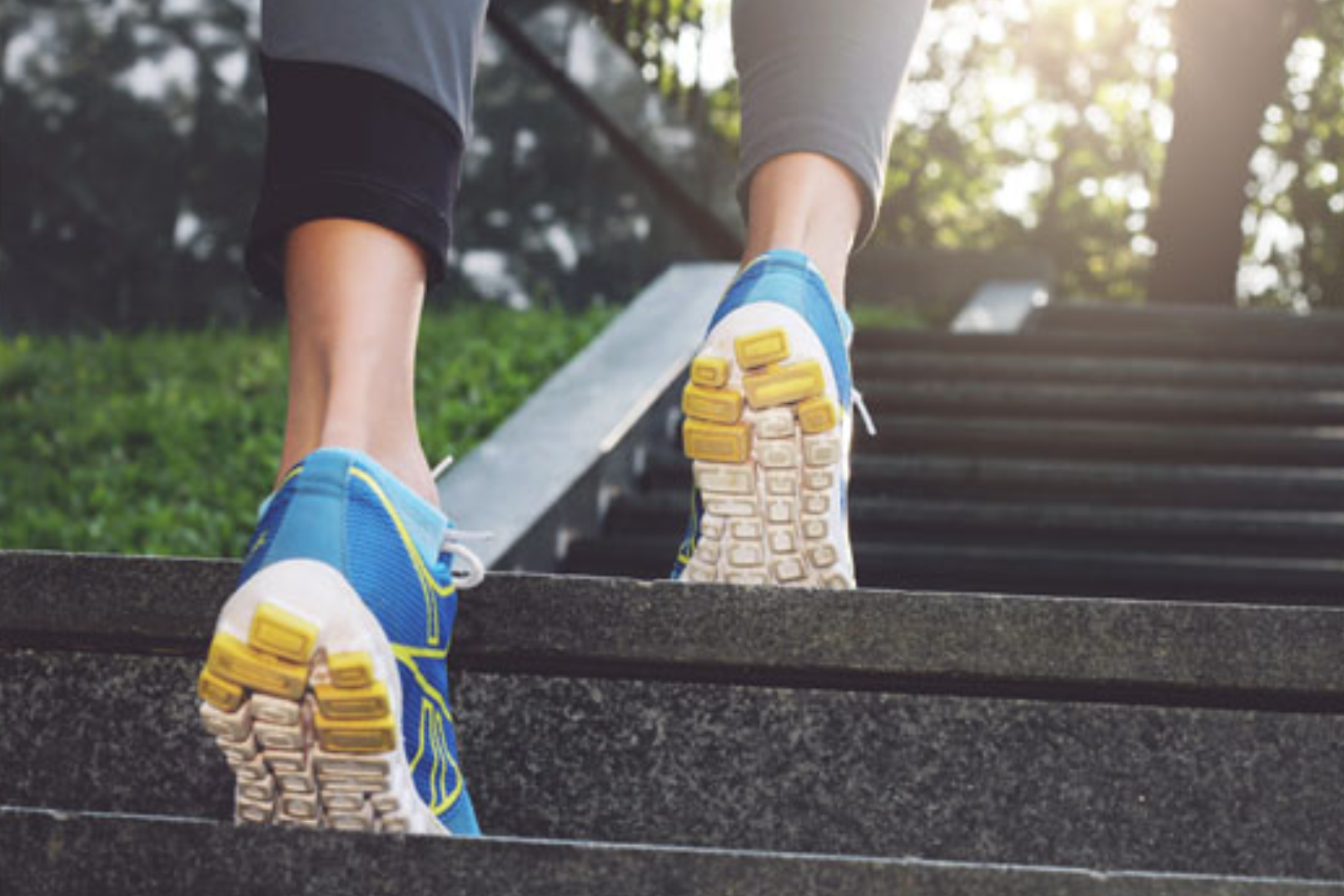 health benefits of climbing stairs instead of using lifts and escalators