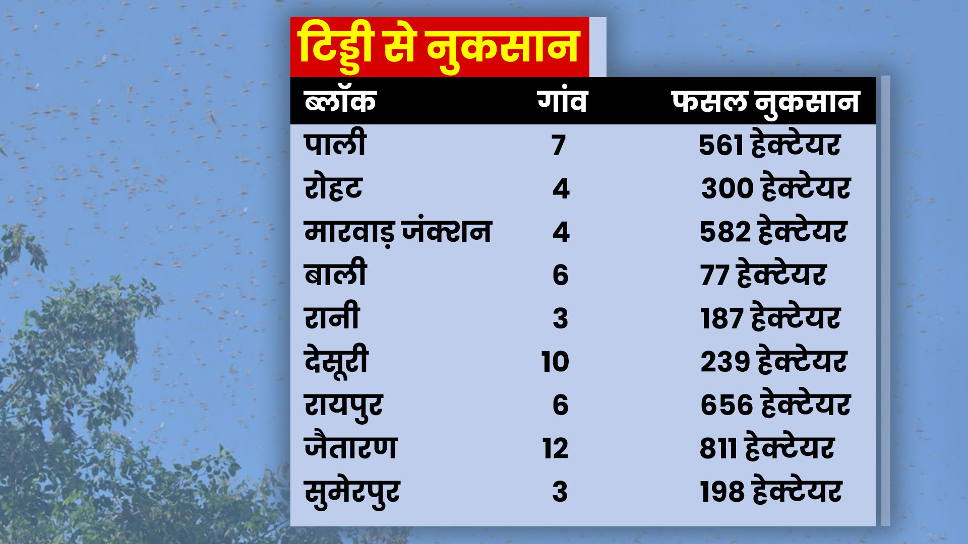 Locust attack in pali, Sowing of Kharif crop, Locust eggs