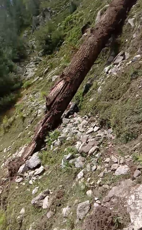 minor-girl-killed-in-landslide-triggered-by-tree-cutting-in-jammu-kashmirs-ramban