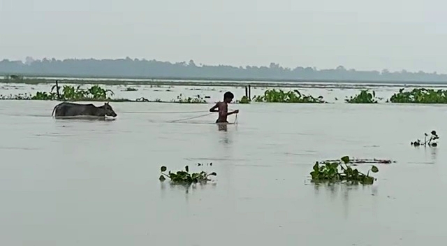 Chirang Extreme flood worst situation etv bharat assam news