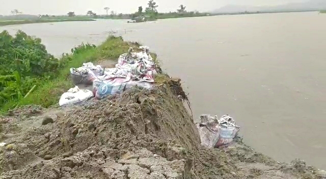 Chirang Extreme flood worst situation etv bharat assam news