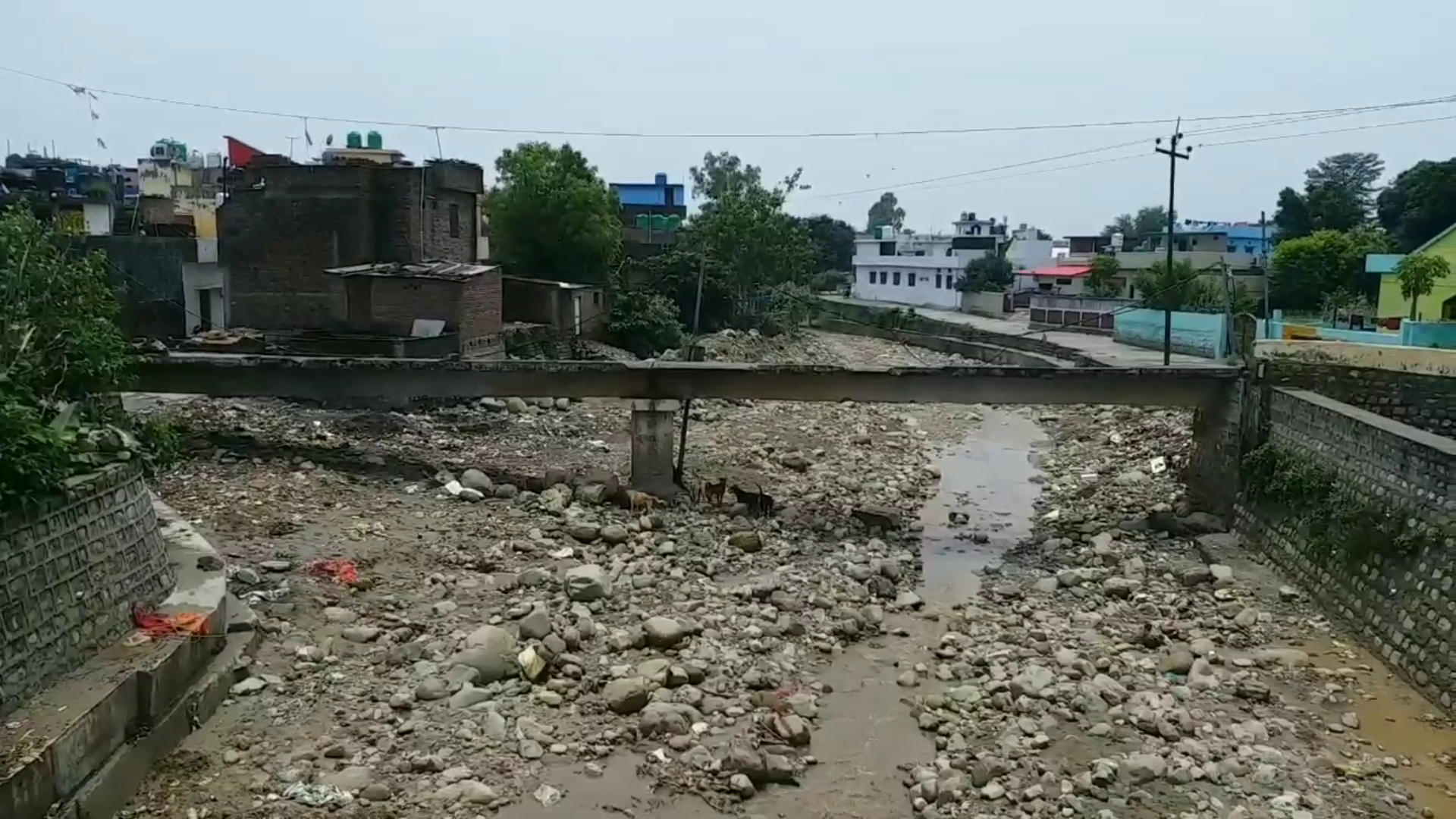 paniyali gadera