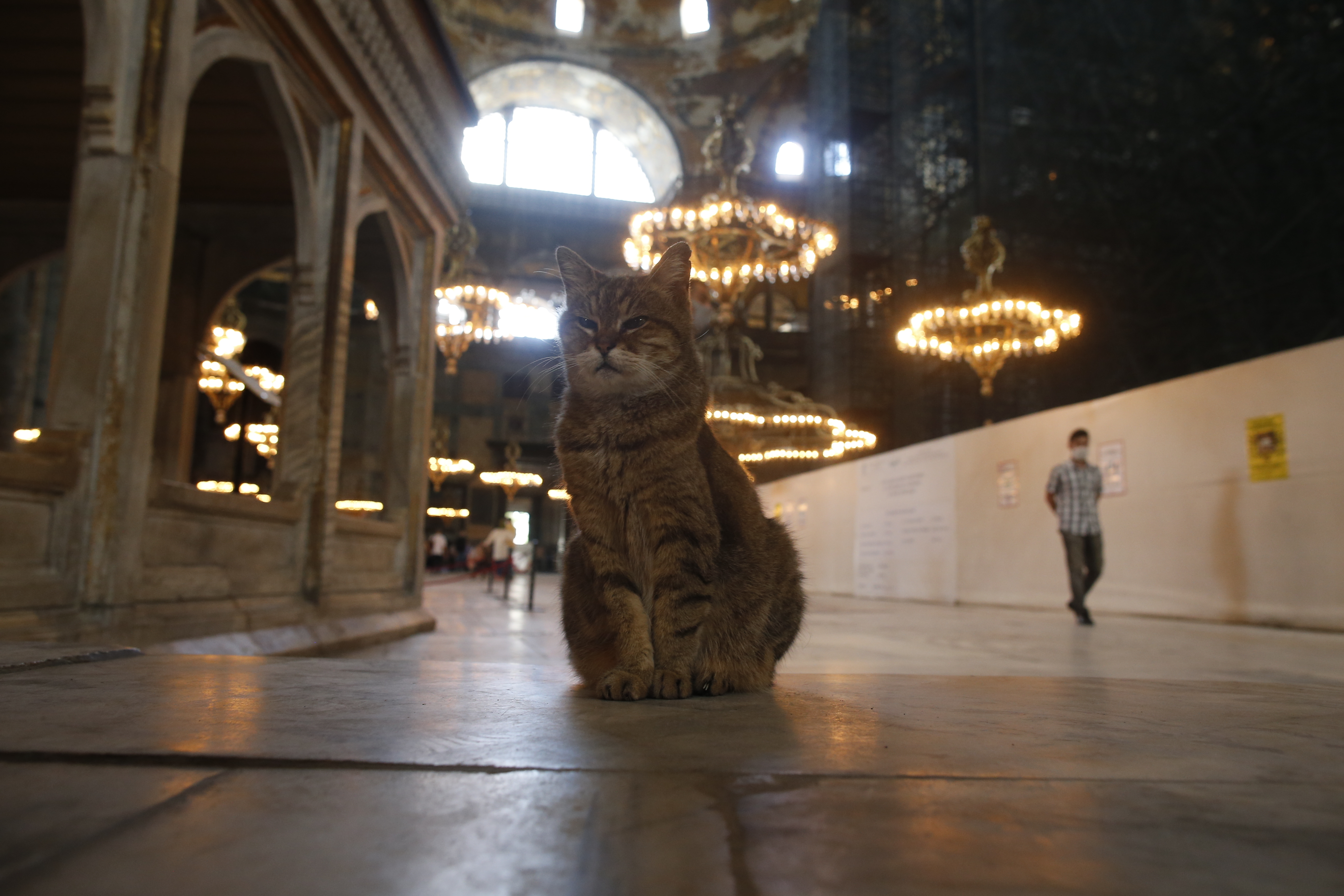 Hagia Sophia