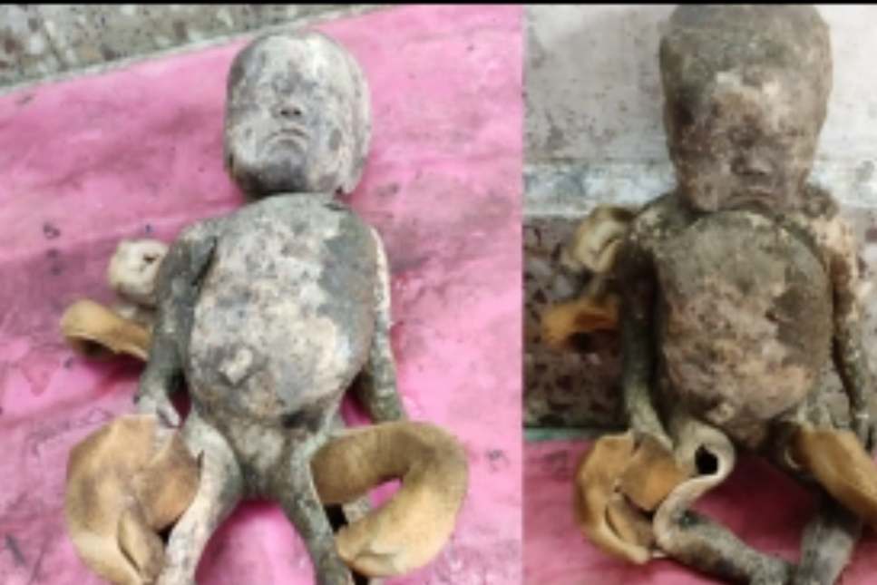 Bizarre! Corpse found floating in river turns out to be a doll